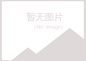 偃师含烟机械有限公司